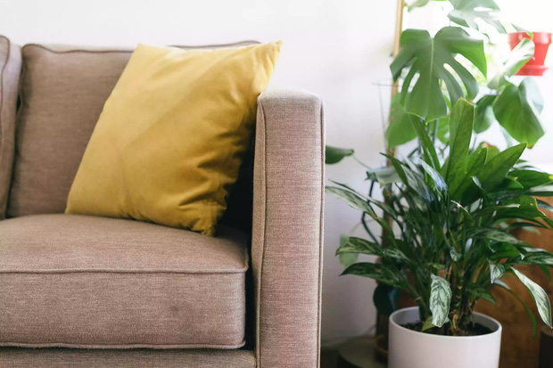 5 Dấu hiệu ghế sofa không phù hợp với căn phòng của bạn và cần bọc ghế sofa