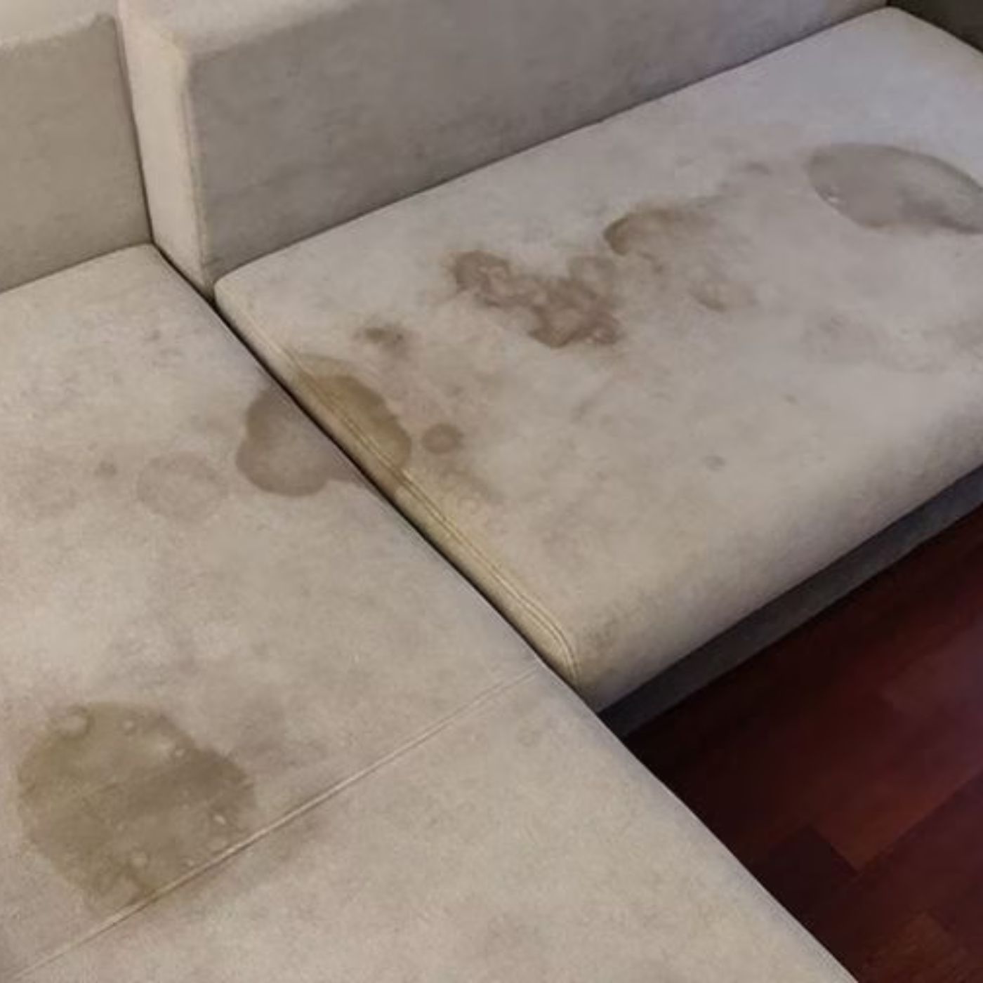 5 Sai Lầm Khiến Vỏ Bọc Sofa Chống Thấm Nhanh Hỏng Bạn Cần Tránh