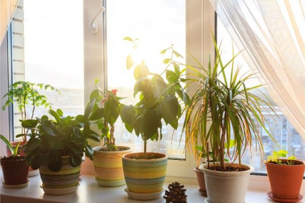 10 Cách tận dụng cửa sổ đầy nắng của nhà bạn một cách hoàn hảo - Nội thất Vinaco